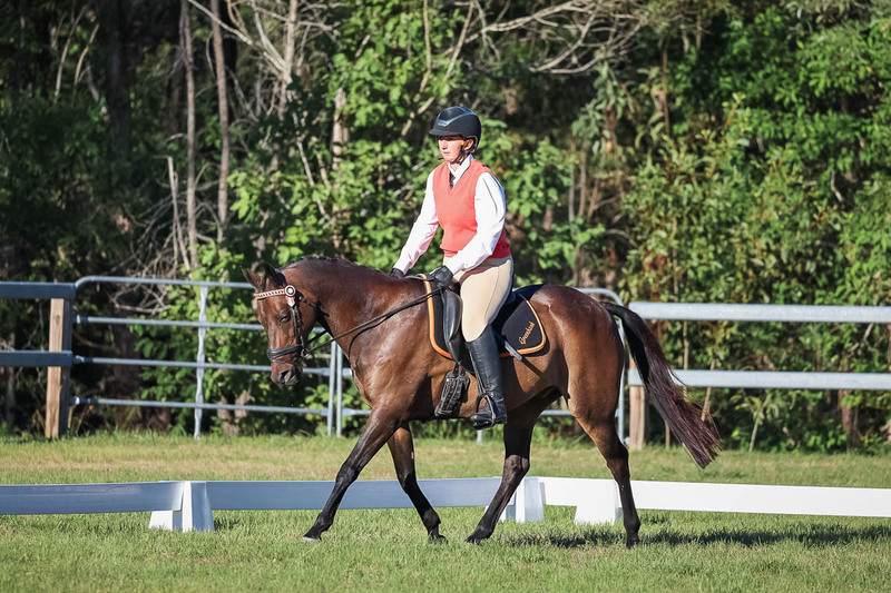 JPC Feb 2026 Dressage-7585.jpg