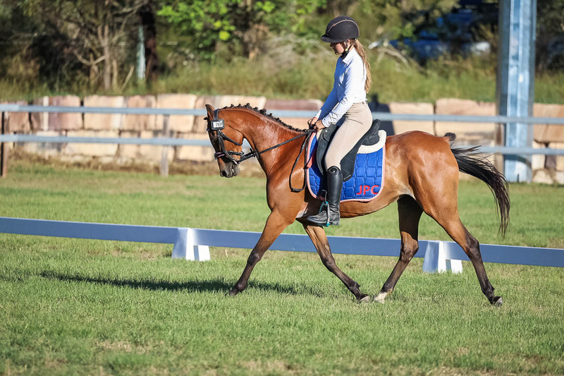 JPC Feb 2026 Dressage-7586.jpg
