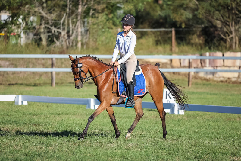 JPC Feb 2026 Dressage-7588.jpg