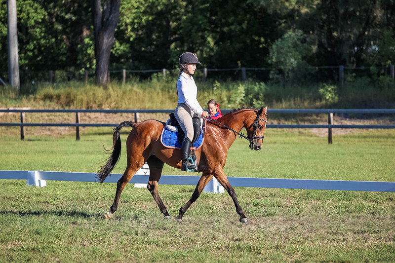 JPC Feb 2026 Dressage-7589.jpg