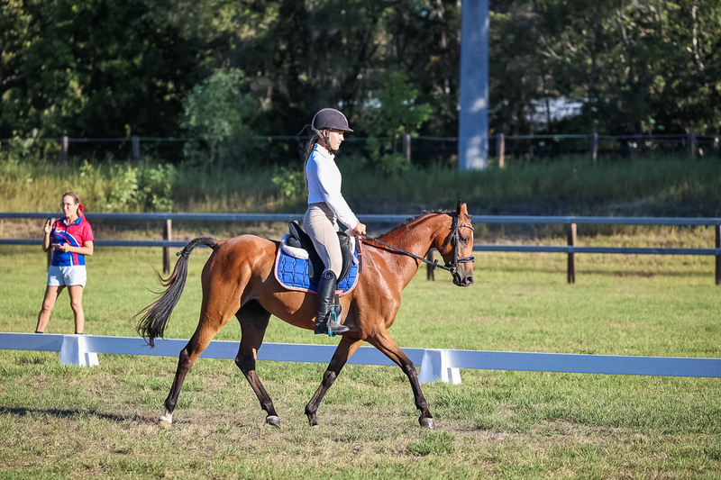 JPC Feb 2026 Dressage-7590.jpg
