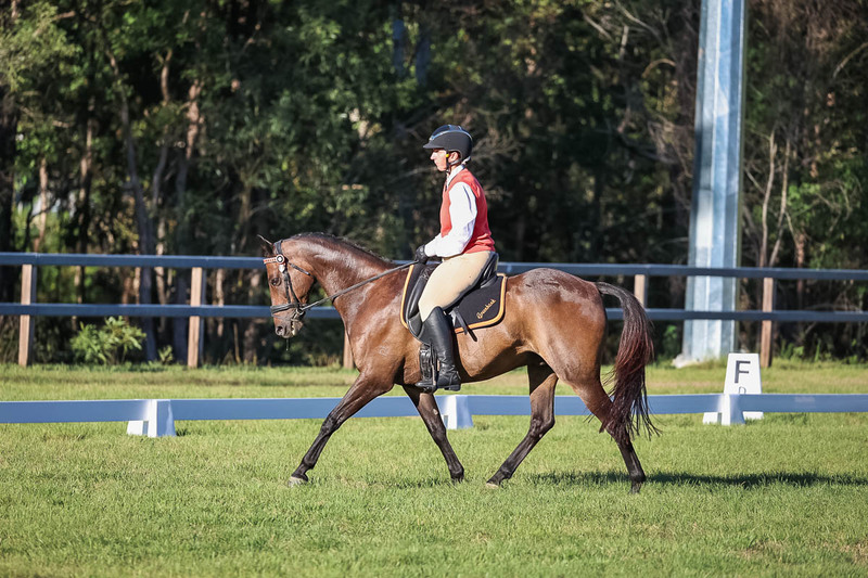JPC Feb 2026 Dressage-7591.jpg