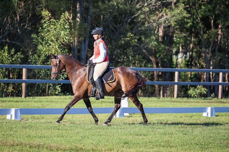 JPC Feb 2026 Dressage-7593.jpg