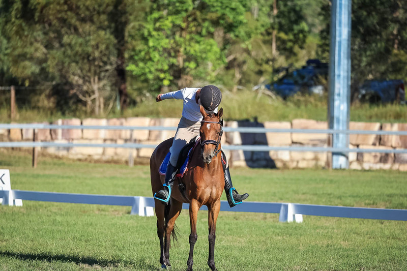JPC Feb 2026 Dressage-7594.jpg