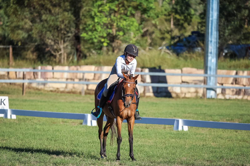 JPC Feb 2026 Dressage-7595.jpg