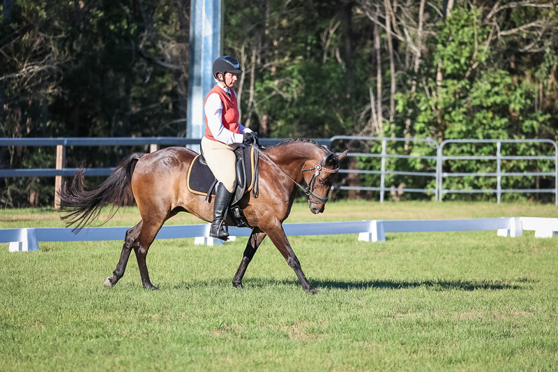 JPC Feb 2026 Dressage-7596.jpg