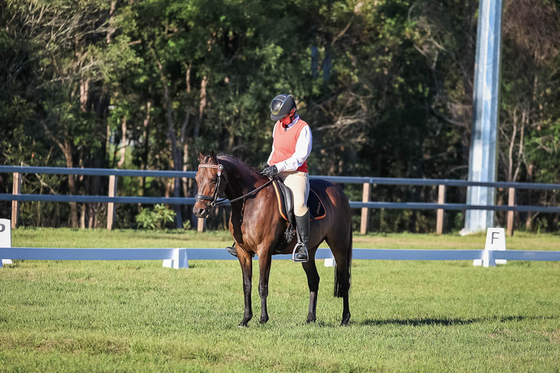 JPC Feb 2026 Dressage-7597.jpg