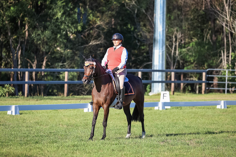 JPC Feb 2026 Dressage-7598.jpg