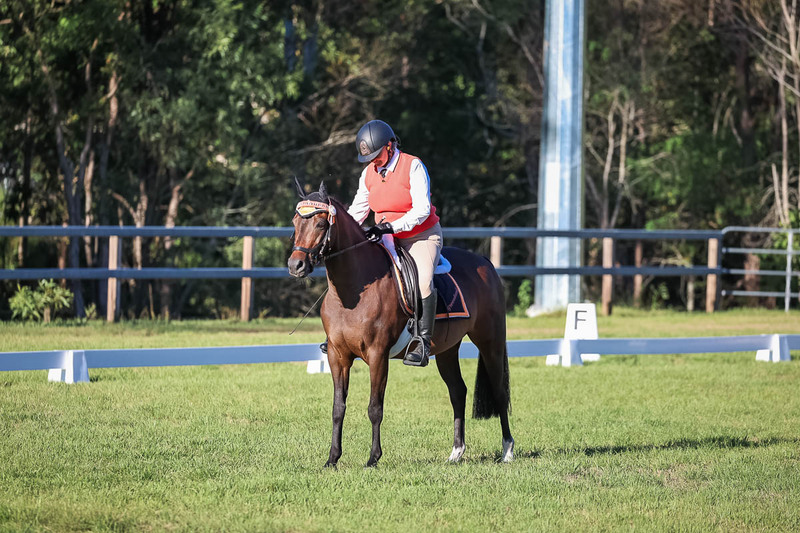 JPC Feb 2026 Dressage-7599.jpg
