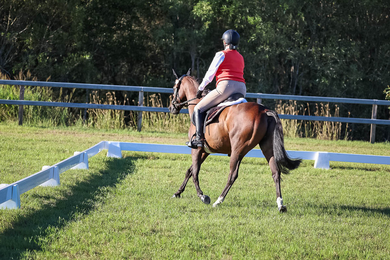 JPC Feb 2026 Dressage-7600.jpg