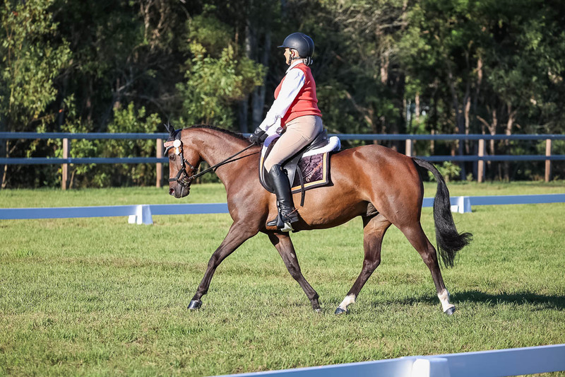 JPC Feb 2026 Dressage-7602.jpg