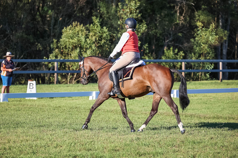 JPC Feb 2026 Dressage-7603.jpg