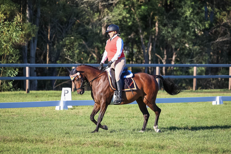 JPC Feb 2026 Dressage-7605.jpg