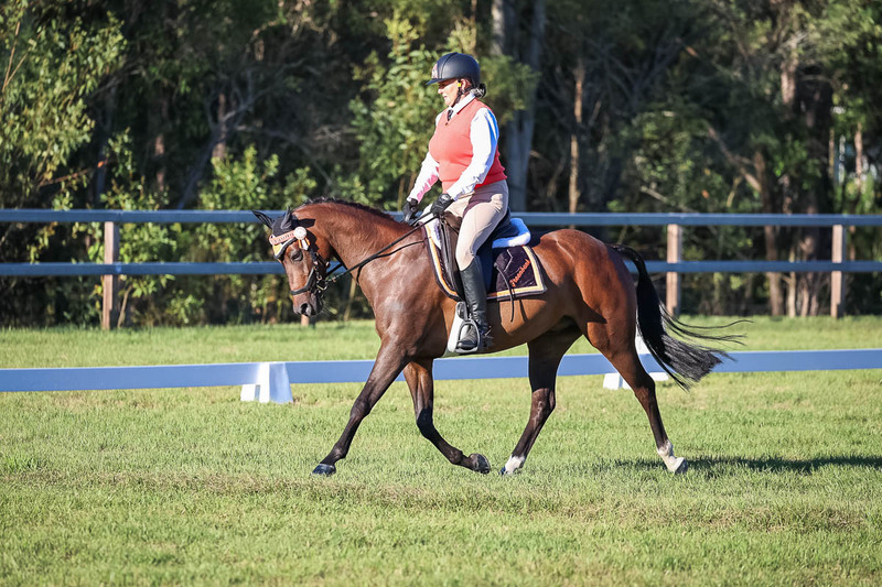 JPC Feb 2026 Dressage-7606.jpg
