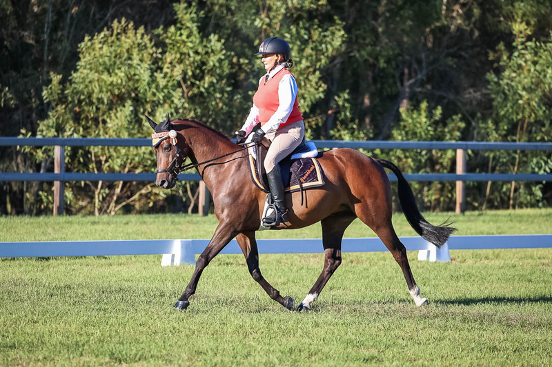 JPC Feb 2026 Dressage-7607.jpg