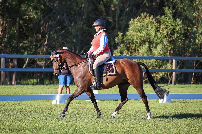 JPC Feb 2026 Dressage-7608.jpg