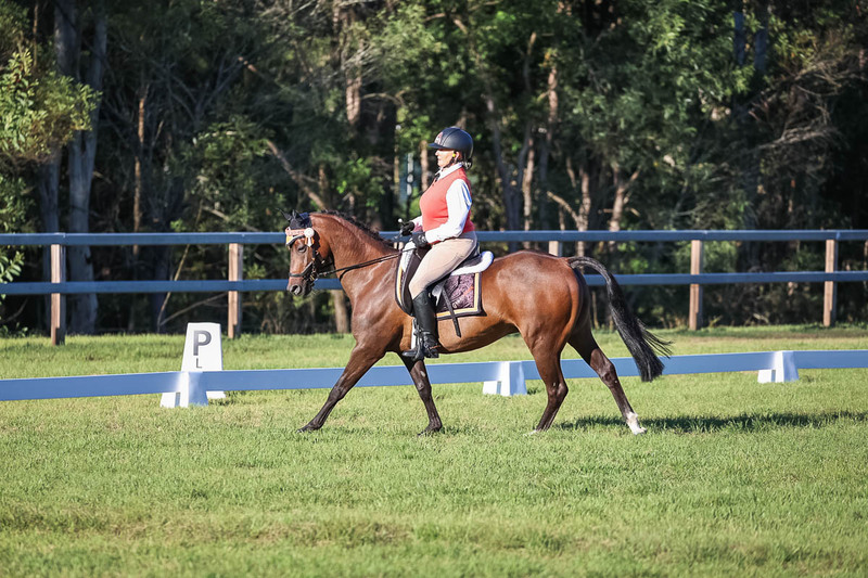 JPC Feb 2026 Dressage-7610.jpg