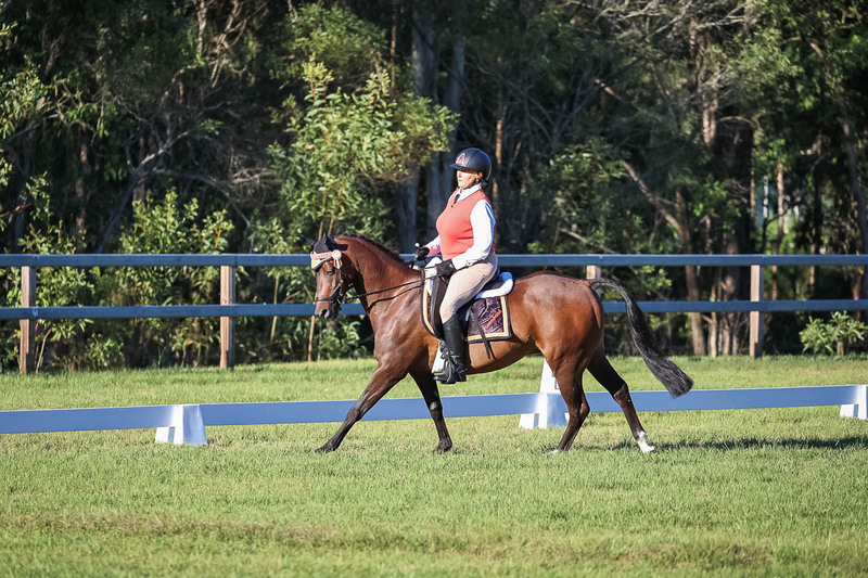 JPC Feb 2026 Dressage-7611.jpg
