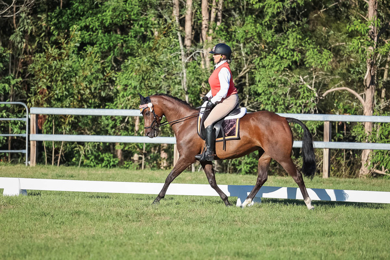 JPC Feb 2026 Dressage-7613.jpg