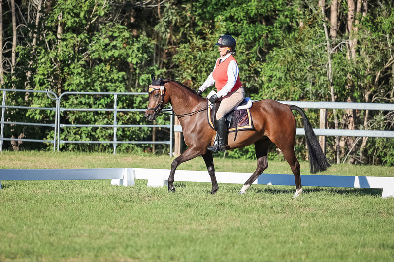 JPC Feb 2026 Dressage-7614.jpg