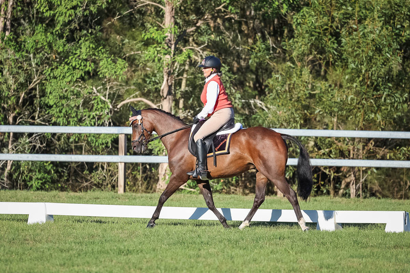 JPC Feb 2026 Dressage-7615.jpg