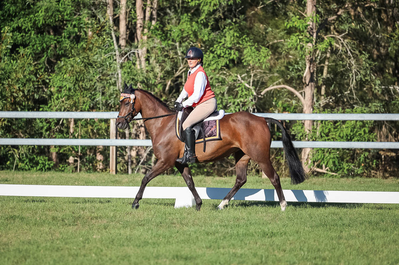JPC Feb 2026 Dressage-7616.jpg