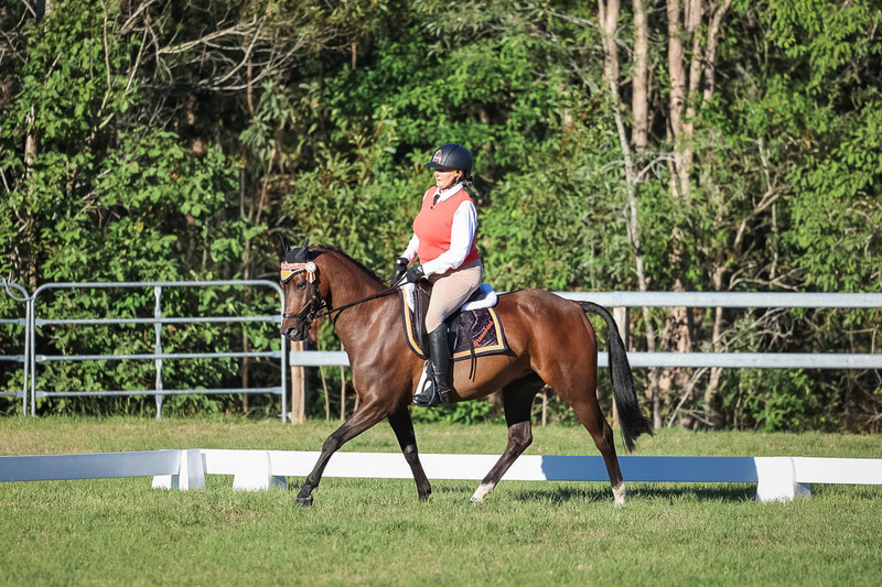 JPC Feb 2026 Dressage-7617.jpg