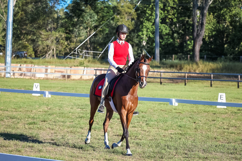 JPC Feb 2026 Dressage-7618.jpg
