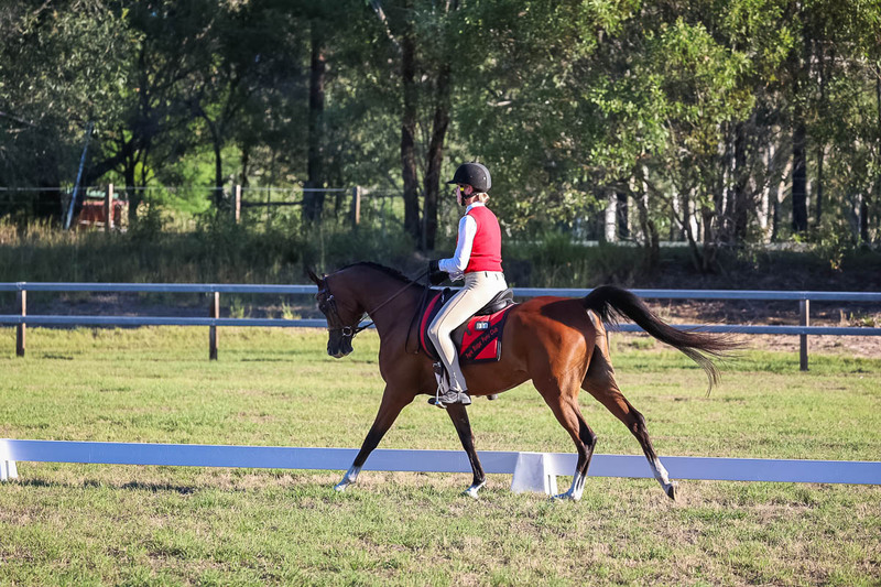 JPC Feb 2026 Dressage-7620.jpg