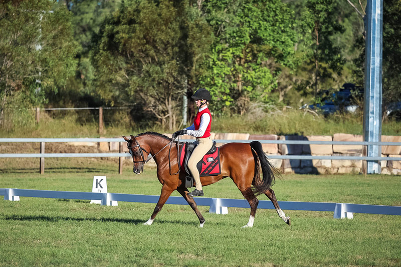 JPC Feb 2026 Dressage-7622.jpg