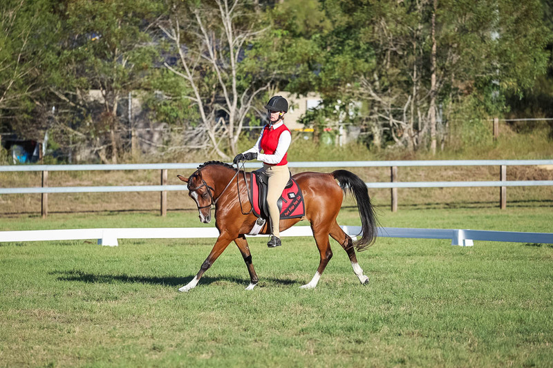 JPC Feb 2026 Dressage-7624.jpg