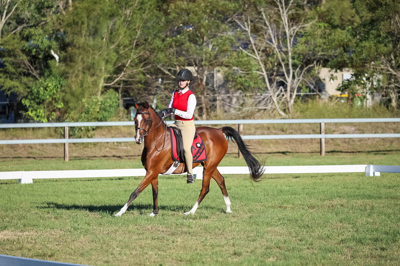 JPC Feb 2026 Dressage-7625.jpg