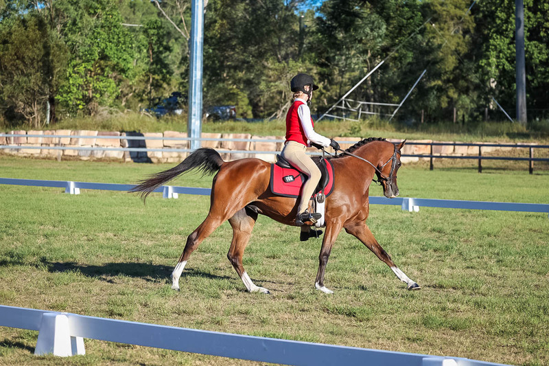 JPC Feb 2026 Dressage-7626.jpg