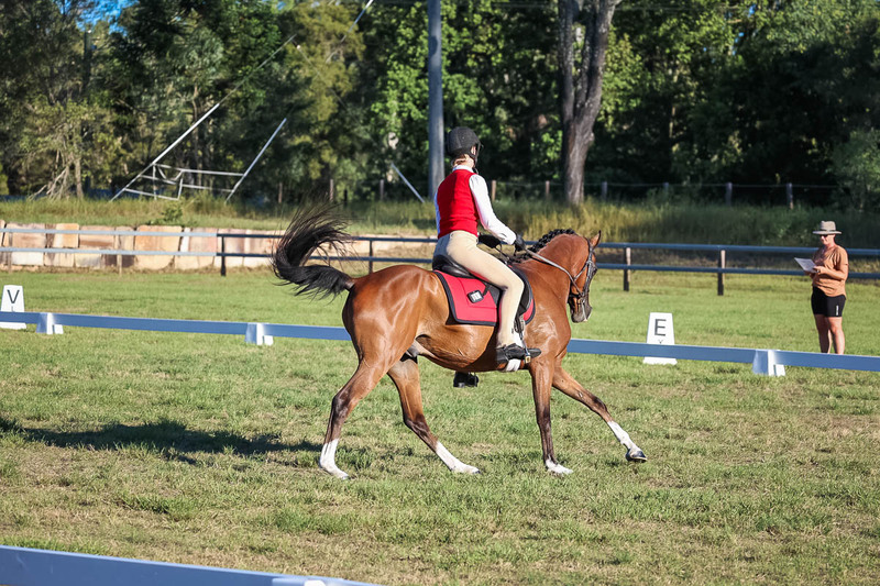 JPC Feb 2026 Dressage-7627.jpg