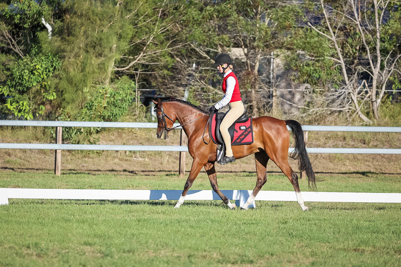 JPC Feb 2026 Dressage-7628.jpg