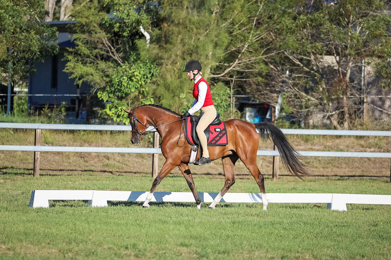 JPC Feb 2026 Dressage-7629.jpg