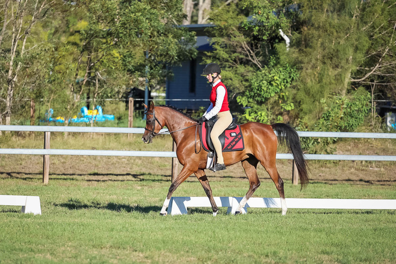 JPC Feb 2026 Dressage-7630.jpg