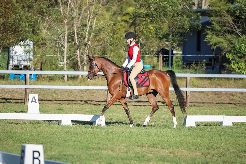 JPC Feb 2026 Dressage-7631.jpg