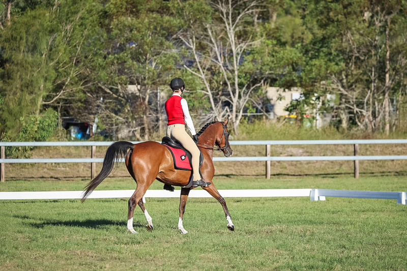 JPC Feb 2026 Dressage-7632.jpg