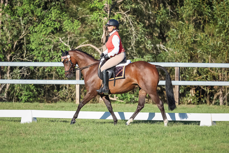 JPC Feb 2026 Dressage-7634.jpg