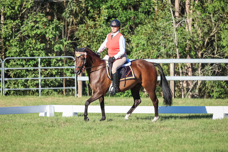 JPC Feb 2026 Dressage-7636.jpg