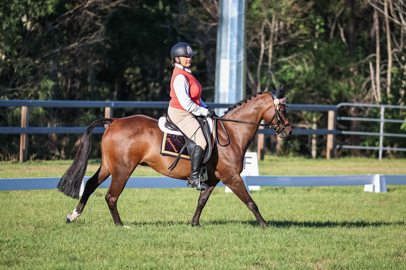 JPC Feb 2026 Dressage-7637.jpg