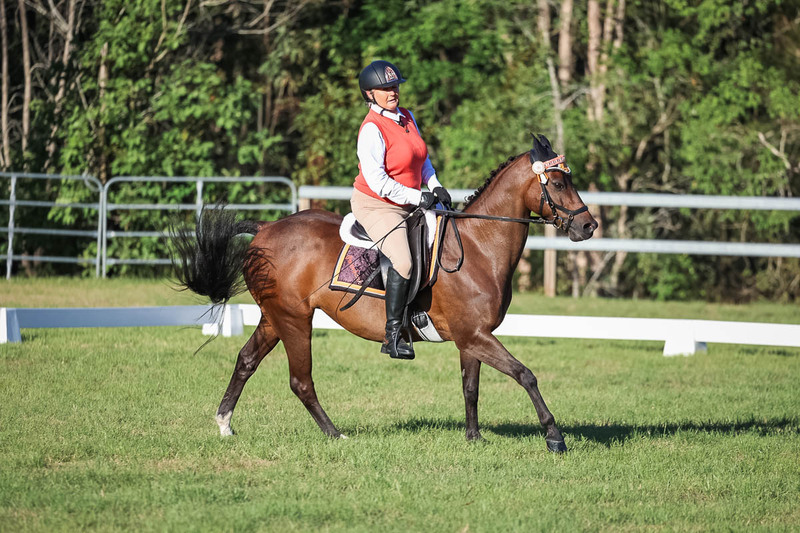 JPC Feb 2026 Dressage-7639.jpg