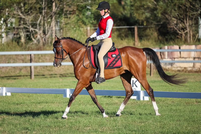 JPC Feb 2026 Dressage-7640.jpg