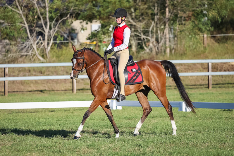 JPC Feb 2026 Dressage-7641.jpg