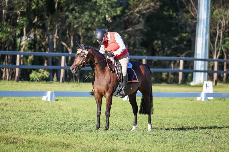 JPC Feb 2026 Dressage-7643.jpg