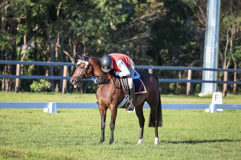 JPC Feb 2026 Dressage-7644.jpg