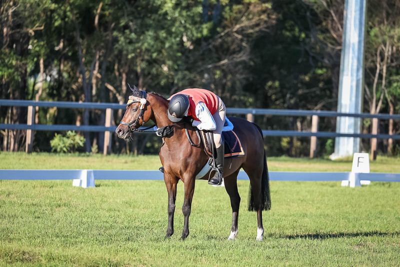 JPC Feb 2026 Dressage-7645.jpg