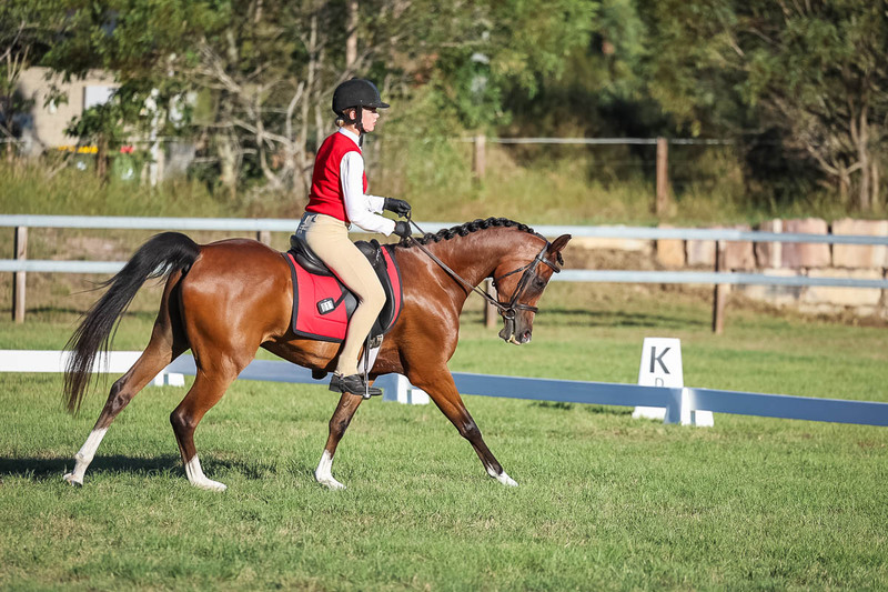 JPC Feb 2026 Dressage-7650.jpg