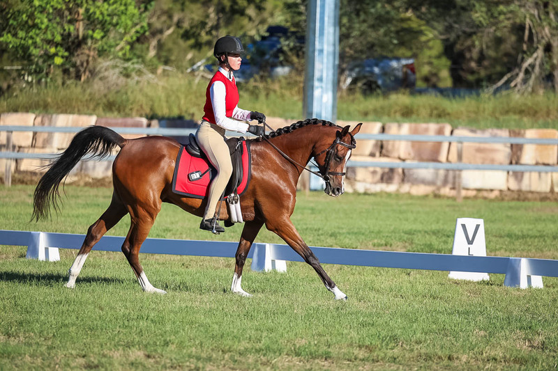 JPC Feb 2026 Dressage-7652.jpg